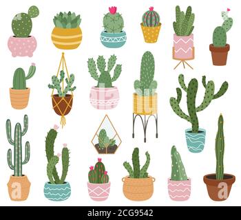 Cactus in vaso. Carino cactus deserto, succulenti e aloe in pentole, piante tropicali casa, messicano prickly casa vasato piante vettore illustrazione insieme Illustrazione Vettoriale