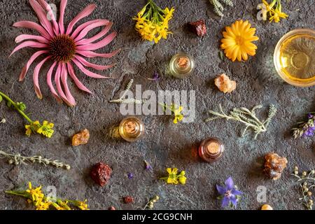 Bottiglie di olio essenziale con incenso, issopo, echinacea, rue comune e altre erbe Foto Stock