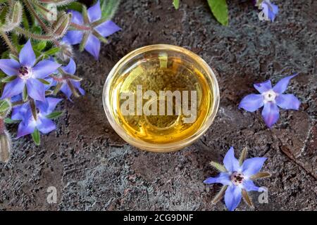 Piante di borragine fresche in fiore e olio in una ciotola Foto Stock