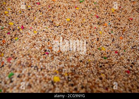 Budgerigar feed nel grande bazar kemeralti izmir turchia Foto Stock