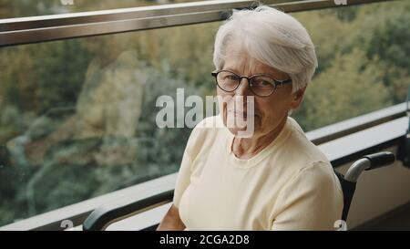 Ritratto di donna dai capelli grigi senior con occhiali in carrozzina davanti alla finestra. Foto di alta qualità Foto Stock