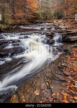 L'acqua scorre al Ricketts Glen state Park, Pennsylvania Foto Stock