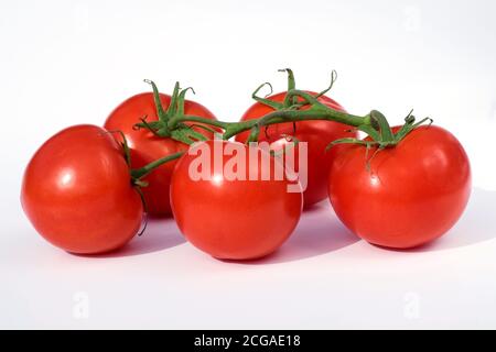 Cinque pomodori rossi freschi su un vitigno Foto Stock