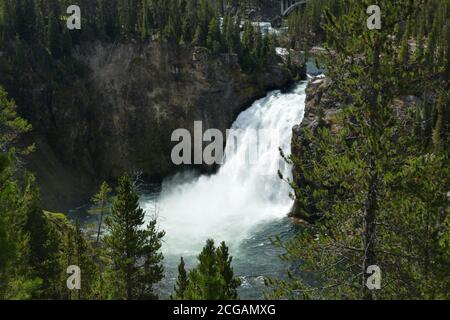 Cascate di Yellowstone Canyon Upper, Parco Nazionale di Yellowstone, Wyoming Foto Stock
