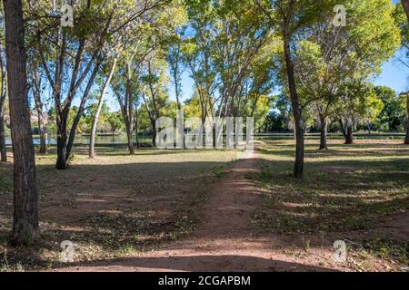 Una splendida vista sul paesaggio di Cottonwood, Arizona Foto Stock