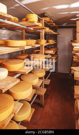 Fila di formaggi stagionati su scaffali di legno in cantina di maturazione Foto Stock