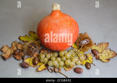 Zucca, castagne, sbuccia, grappolo di uva, acorn e morti di foglie di vite dopo il raccolto in autunno Foto Stock