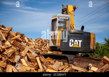 Queenstown, MD, USA 09/05/2020: Un sito di disboscamento dove gli alberi provenienti dalla foresta vicina sono tagliati e tagliati in tronchi di legno. Un escavatore CAT è su palo Foto Stock
