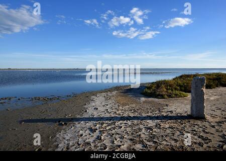 Pietra in piedi sul bordo dell'acqua dell'Etang de la Dame Lago Camargue Parco Regionale o Riserva Naturale Provenza Francia Foto Stock