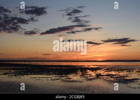 Tramonto o tramonto sul lago Etang de la Dame o paesaggio Camargue nel Parco Regionale della Camargue, Wetlands o Riserva Naturale Provenza Francia Foto Stock