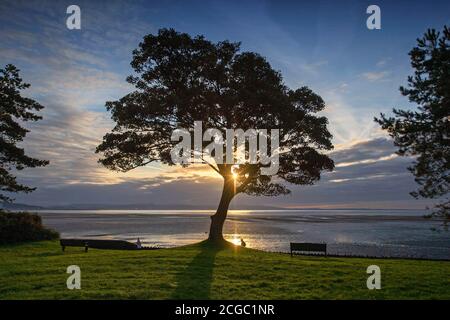 Mumbles, Swansea, Regno Unito. 10 settembre 2020. Il sole sorge da dietro un albero nel quartiere di West Cross di Swansea questa mattina mentre le persone si fanno strada lungo il sentiero lungomare. Credit: Phil Rees/Alamy Live News Foto Stock