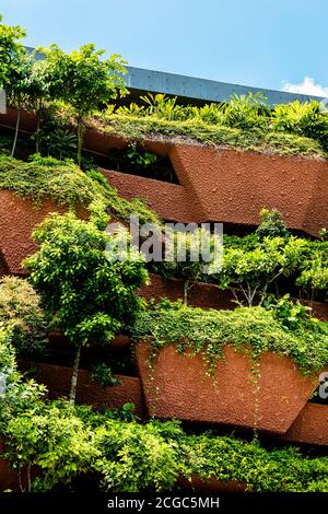 Dettagli esterni del Lee Kong Chian Natural History Museum, Facoltà di Scienze, Università Nazionale di Singapore. Foto Stock