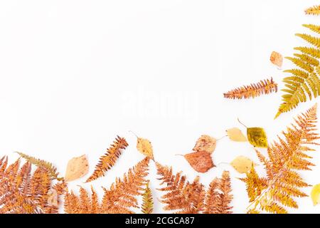 Composizione autunnale. Cornice fatta di foglie e fiori multicolore asciutti autunnali su sfondo bianco. Autunno, autunno concetto. Disposizione piatta, vista dall'alto, spazio per la copia Foto Stock