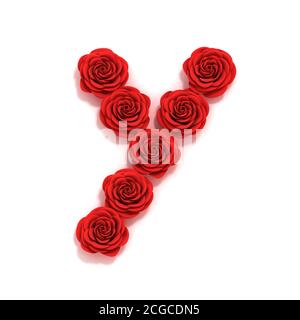 Rosso rose font lettera Y Foto Stock