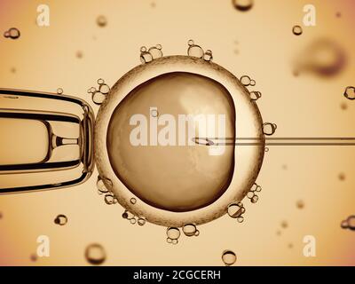 rappresentazione 3d della vista microscopica dell'inseminazione artificiale Foto Stock