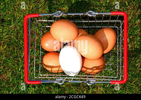 Marrone e bianco uova di pollo in un carrello sull'erba, UK. Foto Stock