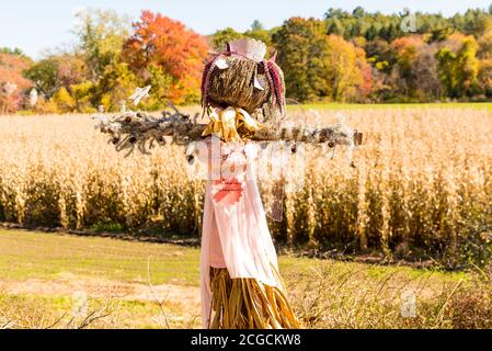 Concorso di progettazione dello Scarecrow presso la fattoria locale per raccogliere fondi a favore dell'Alleanza Nazionale sulle malattie mentali. Foto Stock