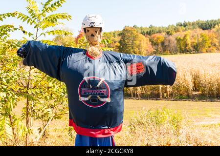 Concorso di progettazione dello Scarecrow presso la fattoria locale per raccogliere fondi a favore dell'Alleanza Nazionale sulle malattie mentali. Foto Stock