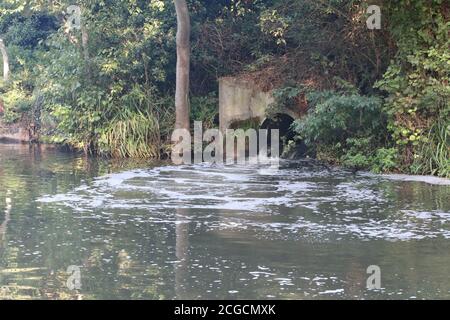efflusso di liquame che versa in un fiume Foto Stock