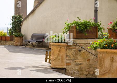 Vasi in terracotta con fiori posti sopra una scala nel cortile (Pesaro, Italia, Europa) Foto Stock