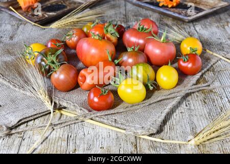 Un mucchio di diversi tipi di pomodori freschi e maturi posizionato su una tessitura di iuta Foto Stock