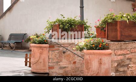 Vasi in terracotta con fiori posti sopra una scala nel cortile (Pesaro, Italia, Europa) Foto Stock