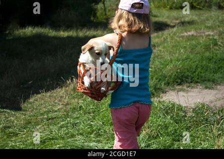 Una ragazza di 5 anni gioca con un cane e lo porta in un cestino. Preso dalla parte posteriore. Soleggiata Foto Stock