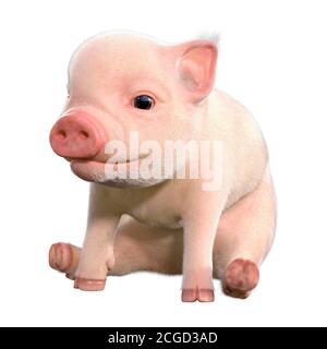 Rendering 3D di un simpatico maialino rosa isolato su bianco sfondo Foto Stock