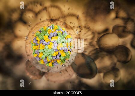 Rendering 3D della molecola del virus circondata da uno strato d'acqua, elica del DNA sullo sfondo Foto Stock