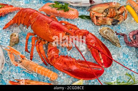 Aragosta intera con frutti di mare, granchio, gamberi, ostriche e altre conchiglie servite su ghiaccio tritato. Foto Stock