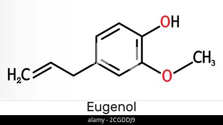 Eugenolo, molecola di olio essenziale di chiodo di garofano. È usato come aromatizzante per gli alimenti e i tè e come olio di erbe per trattare il mal di denti. Formula chimica scheletrica. Illus Foto Stock