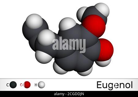Eugenolo, molecola di olio essenziale di chiodo di garofano. È usato come aromatizzante per gli alimenti e i tè e come olio di erbe per trattare il mal di denti. Modello molecolare. Rendering 3D Foto Stock