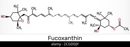 Fucoxantina, C42H58O6, molecola di xantofilla. Ha proprietà antitumorali, antidiabetiche, antiossidanti, neuroprotettive. Formula chimica scheletrica. Foto Stock