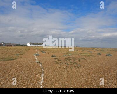 Una linea di conchiglie bianche conduce dalla fila di cottage a Shingle Street attraverso le desolate rive di ghiaia sulla costa di Suffolk. Foto Stock