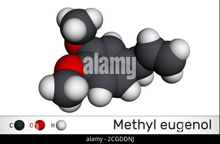 Eugenolo di metile, allilveratrolo, molecola di metileugenolo. È fenilpropene, un tipo di fenilpropanoide. È usato come agente aromatizzante, come fragranza, come un Foto Stock