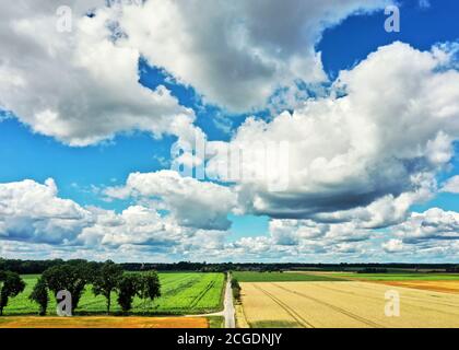 Campi, prati, alberi e un vicolo di campagna nelle pianure della Germania settentrionale sotto un cielo bianco blu nuvoloso, vista aerea Foto Stock