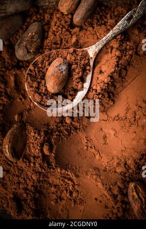 Cacao in polvere organico con semi di cacao per la cottura. Cottura e cottura degli ingredienti. Foto Stock