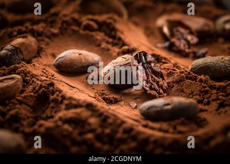 Cacao in polvere organico con semi di cacao per la cottura. Cottura e cottura degli ingredienti. Foto Stock