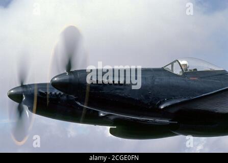 North American P-82 Twin Mustang Foto Stock
