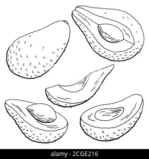 Avocado frutta grafica nero bianco isolato disegno vettore illustrazione Illustrazione Vettoriale