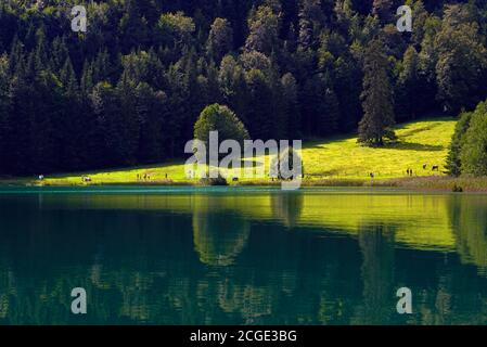 Alatsee (Lago ALAT) a Allgäu orientale, Germania Foto Stock