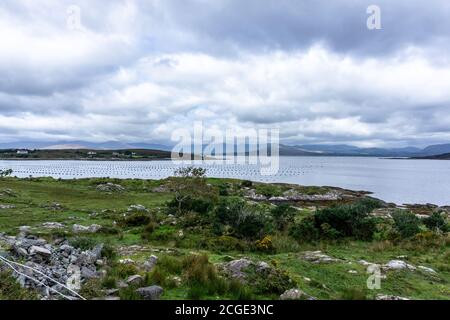 Una fattoria di Mussel vicino a Derryvegal sulla penisola di Beara nella contea di Kerry, Irlanda. Foto Stock