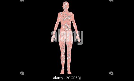 Siti di iniezione su body.Common aree del corpo per iniettare farmaci , vaccini , farmaci , vaccinazioni , immunizzazione . illustrazione del rendering 3d Foto Stock