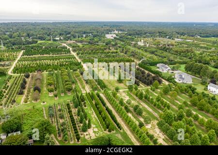 Vista aerea del vivaio di Whitmore, East Hampton, NY Foto Stock