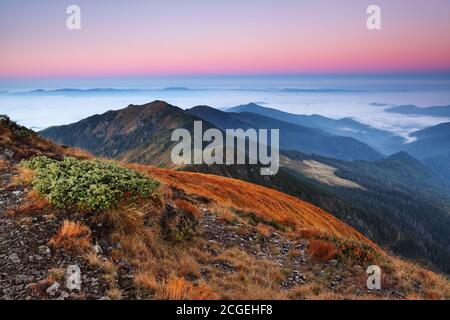 Alba. Mattina d'autunno. Scena autunnale. Paesaggio con alte montagne. Vista panoramica. Paesaggio naturale. Il prato con erba arancione. Sfondo autunnale Foto Stock