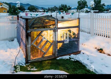 Vista al crepuscolo dell'orto residenziale coperto di tarp temporaneo; lampade luminose utilizzate per prevenire un congelamento di prima stagione. Foto Stock