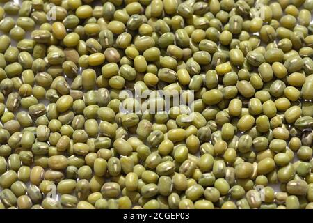 Mung fagioli sfondo nuvolato. Vigna radiata, piccoli fagioli verdi grezzi secchi. Foto Stock
