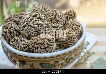 Funghi porcini primaverili commestibili appena raccolti in una ciotola di ceramica. Primo piano, profondità di campo poco profonda. Foto Stock