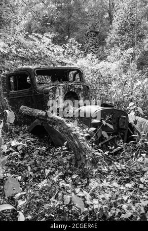 Arrugginito vecchia auto nella foresta convertito in nero e. bianco Foto Stock