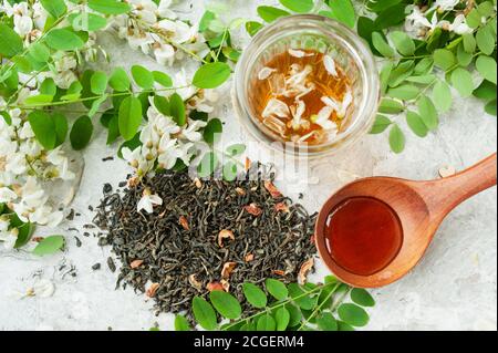 Foglie di tè essiccato con bacche, brodo di fiori di acacia in bicchieri con fioritura lussureggiante albero di acacia bianco ramificazione e cucchiaio di legno con miele su bianco Foto Stock